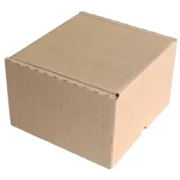Shipping Box - Tall Square Kraft Closed